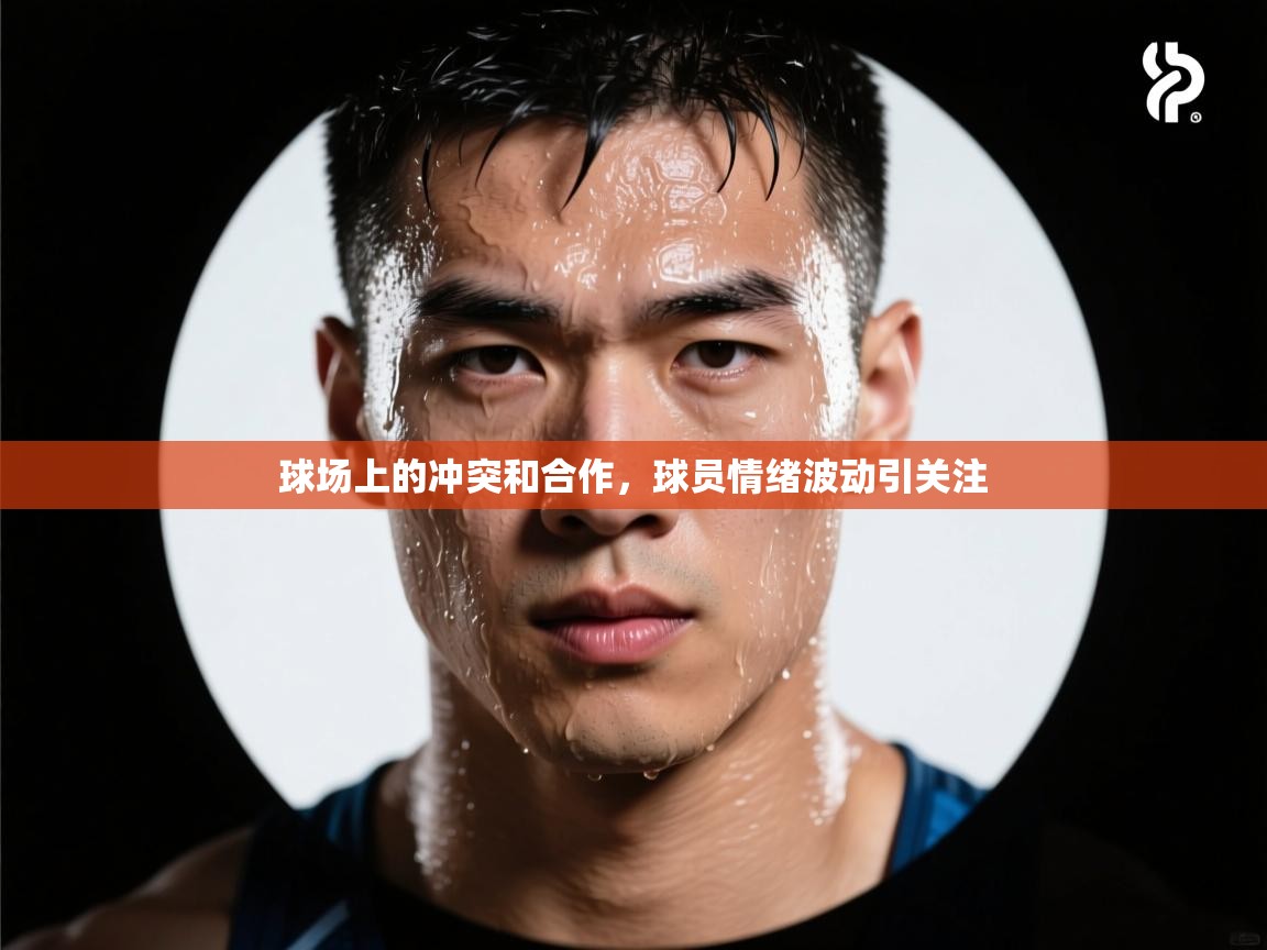 球场上的冲突和合作,球员情绪波动引关注 第1张